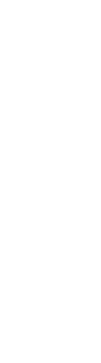 焼酎が旨い。